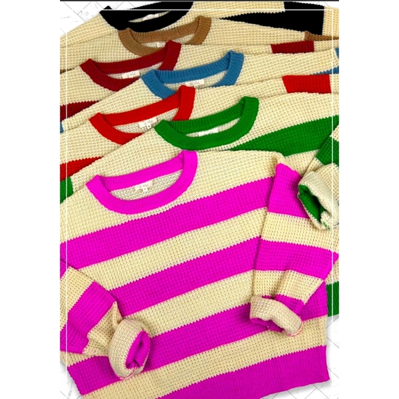 Pumpkin - Picture 5 of 5